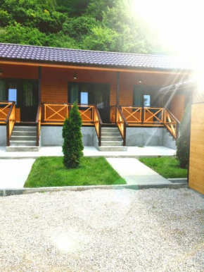Villa Levona, Pizunda